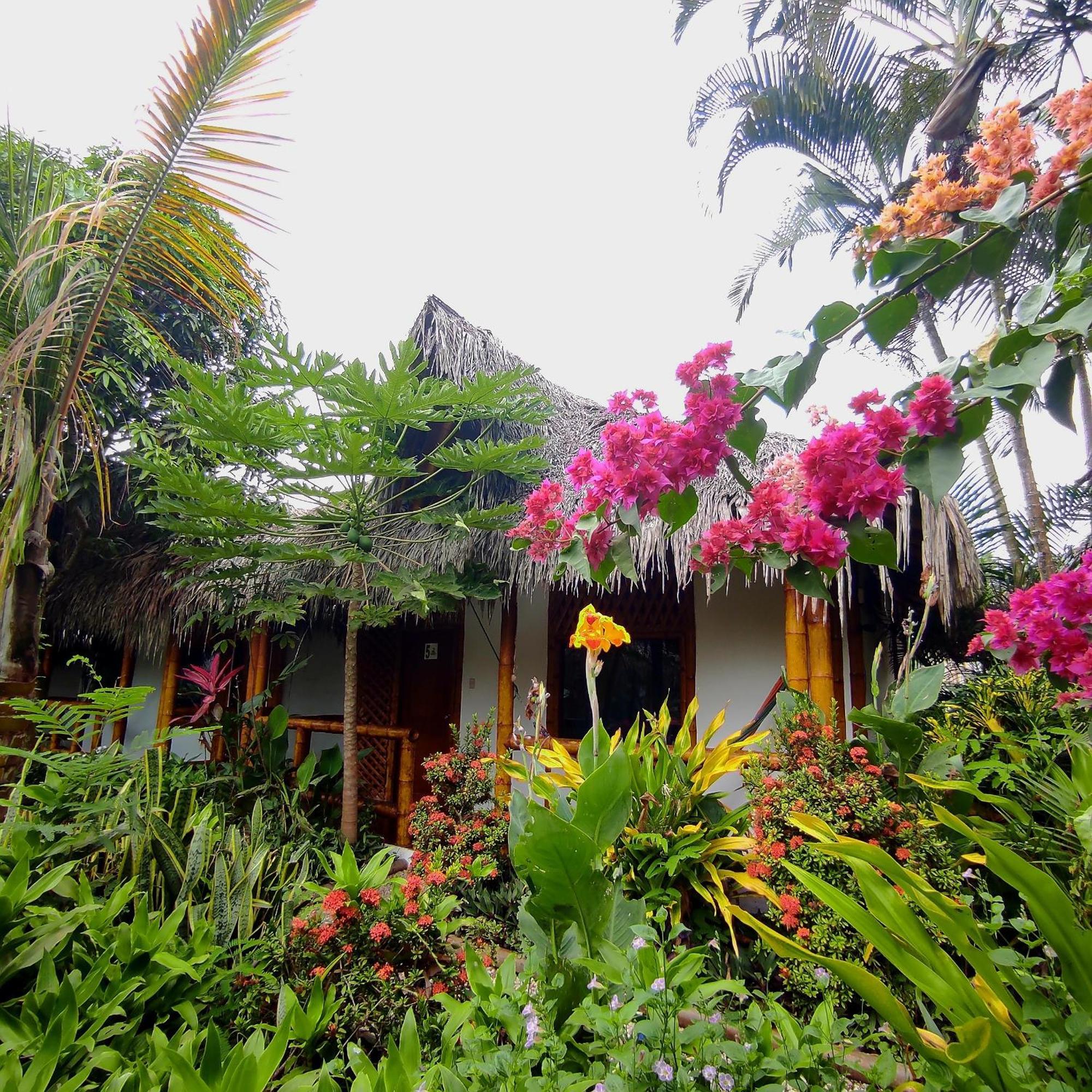 Hostel Montanita Cabanas Exterior foto